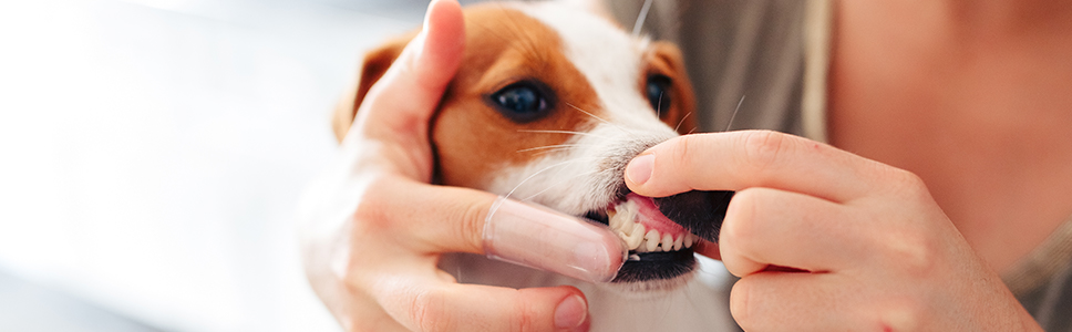 Mehr zu diesem Thema